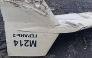 4379061