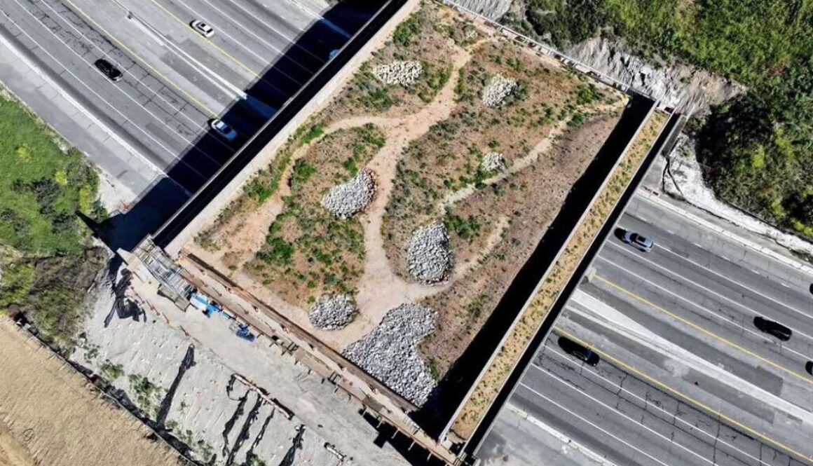 Wallis Annenberg Wildlife Crossing