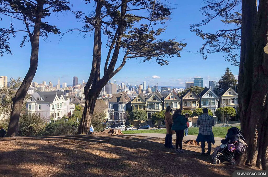 The Painted Ladies