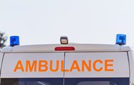 4430620