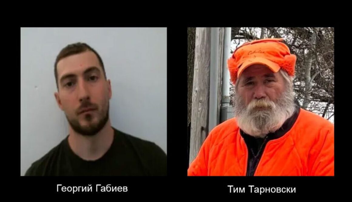 Georgii-Gabiev