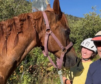 horse rescue